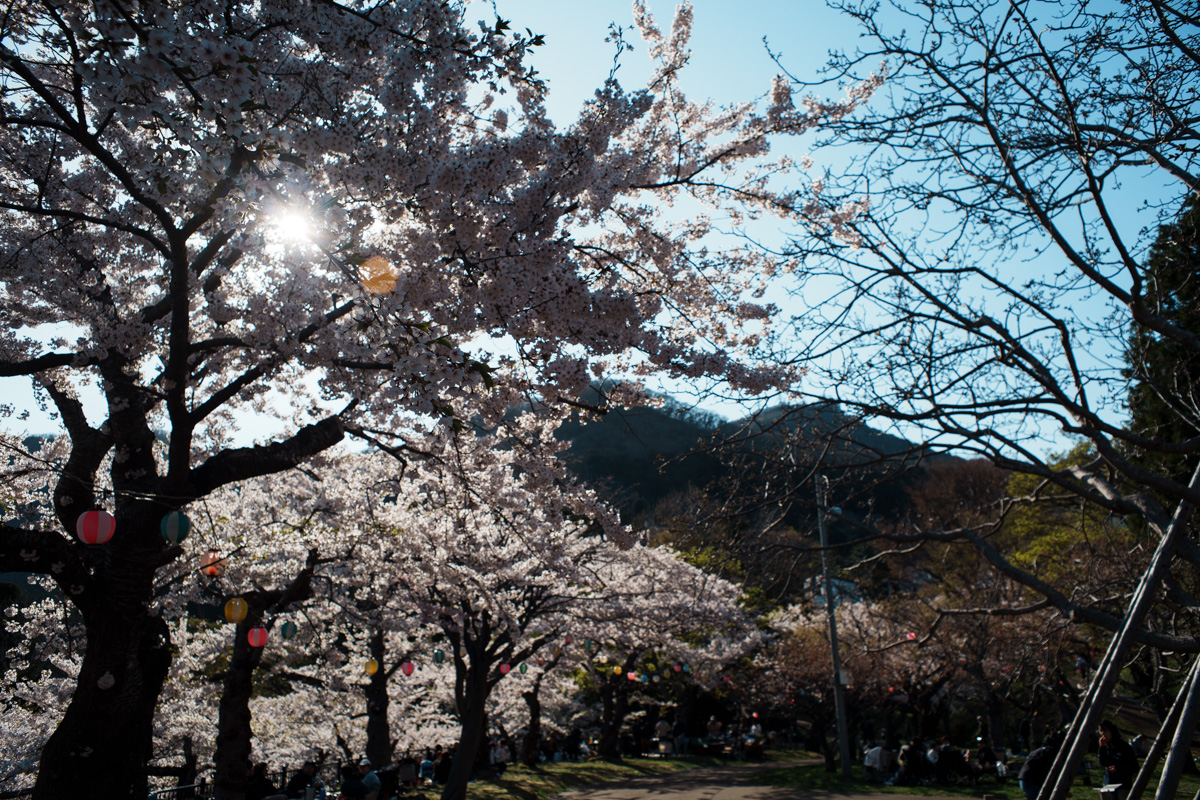 写真:函館公園